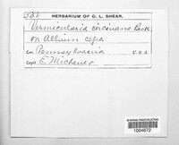 Image Associated With the Occurence